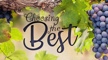 Choosing The Best