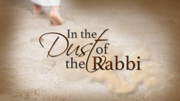 In the Dust of the Rabbi