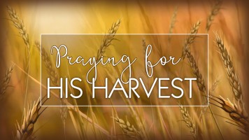 Praying For His Harvest