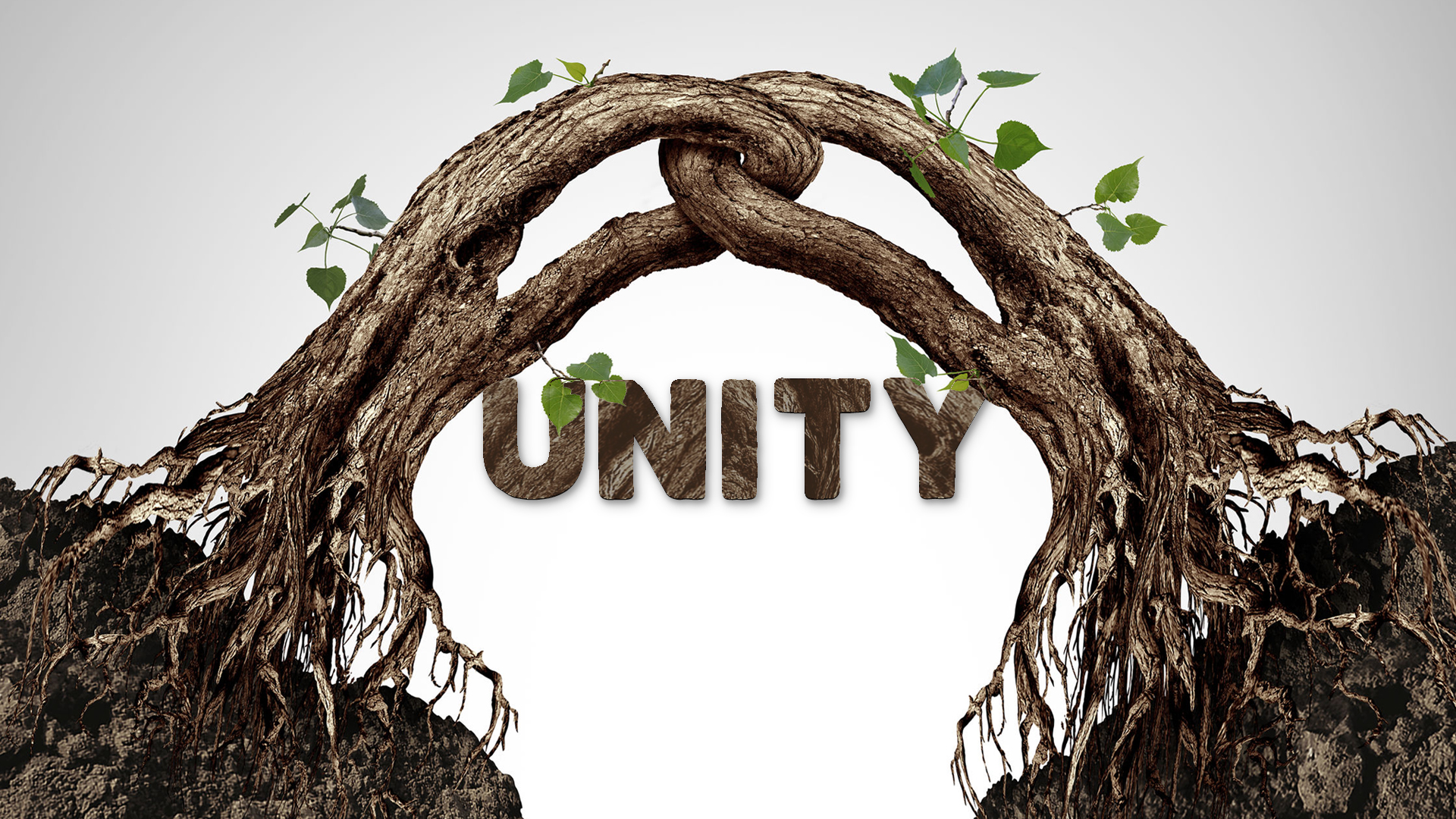 Integrity Church » Unity