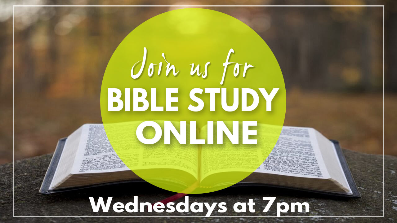 daily bible study online